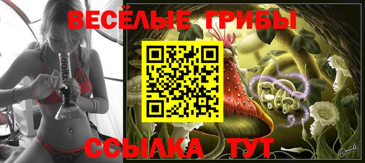 Галлюциногенные грибы Psilocybine cubensis Россия
