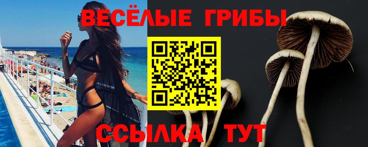 Россия  Галлюциногенные грибы прущие грибы  Вход с VPN 